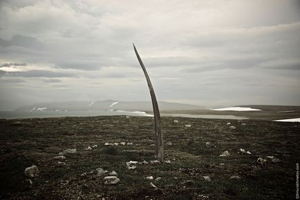 Trekking de-a lungul Chukotka la Uelen și Cape Decznyova - partea a doua, fotografii și călătorii prin Chukotka