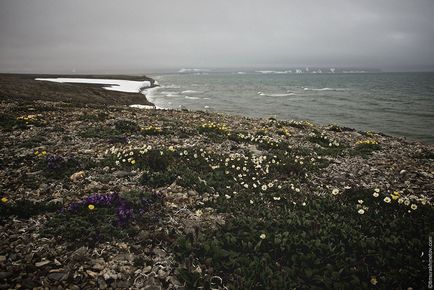 Trekking de-a lungul Chukotka la Uelen și Cape Decznyova - partea a doua, fotografii și călătorii prin Chukotka