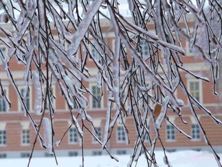 Правила поведінки при ожеледі (ожеледиці)