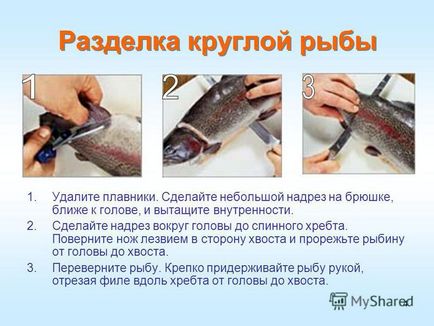 Презентація на тему 1 розбирання риби розбирання риби виконала Савкіна ю