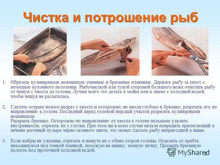 Prezentare pe tema de 1 tăiere de pește de tăiat pește efectuate yu savkin