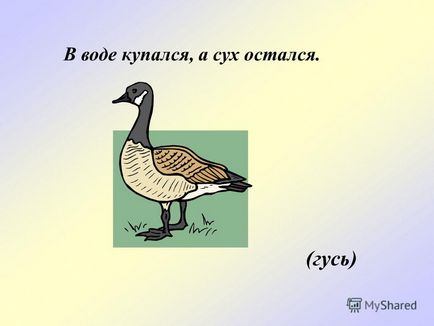 Презентація на тему що таке загадка в - літературної енциклопедії - загадка характеризується як