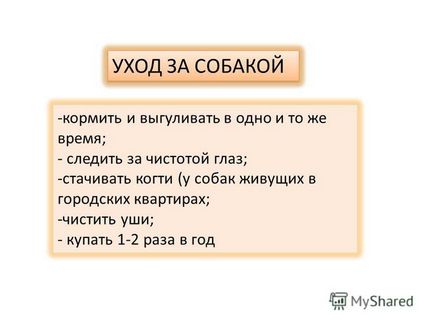 Презентація на тему презентація до уроку (навколишній світ, 1 клас) по темі презентація собака в