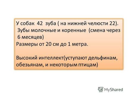 Презентація на тему презентація до уроку (навколишній світ, 1 клас) по темі презентація собака в