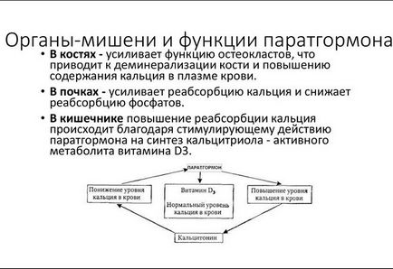 Застосування чаги при лікуванні паращитовидной залози