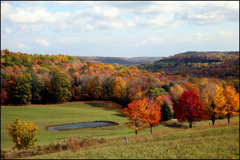 Nature Pennsylvania enciklopédia