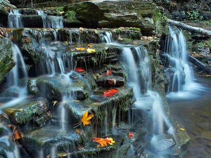 Nature Pennsylvania Encyclopedia (Pennsylvania) Nature Pennsylvania enciklopédia