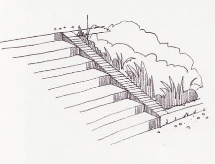 Proiectare scari gradina