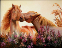Despre cai, cea mai bună imagine de cadouri cu cai
