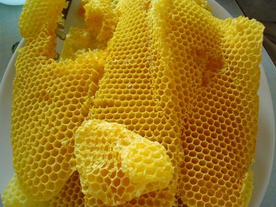 A repce méz hasznos tulajdonságok, kalória, fotók