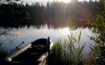 Pescuitul de peisaj negru pe un lac de turbă din Lenoblast