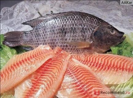 Tilapia de pește (fileuri) - 