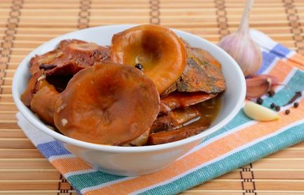 Gombák a téli - a legjobb receptek - pácolás, a sózás, a fagyasztás és sütés gomba (recept) Gombák a téli - a legjobb receptek - pácolás, a sózás, a fagyasztás és sütés gombák