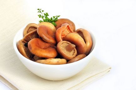Gombák a téli - a legjobb receptek - pácolás, a sózás, a fagyasztás és sütés gomba (recept) Gombák a téli - a legjobb receptek - pácolás, a sózás, a fagyasztás és sütés gombák