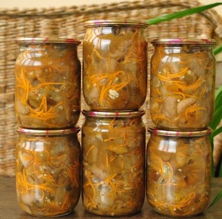 Gombák a téli - a legjobb receptek - pácolás, a sózás, a fagyasztás és sütés gomba (gomba) Gombák a téli - a legjobb receptek - pácolás, a sózás, a fagyasztás és sütés gombák