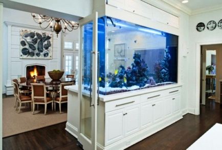 Rolul acvariilor în interiorul unui apartament