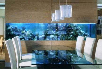 Rolul acvariilor în interiorul unui apartament
