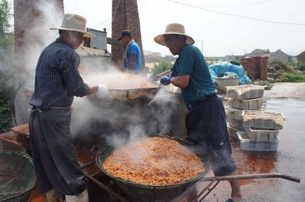 Ru, ca și în China, crească creveții - terraoko - lumea cu ochii tăi