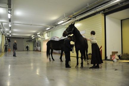 Studiouri din lumea rusă