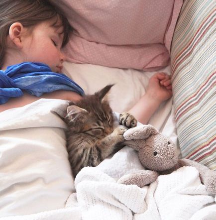 Ru зворушливі фотографії дітей, що грають з кішками