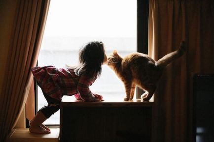 Ru зворушливі фотографії дітей, що грають з кішками
