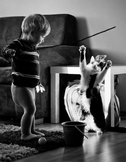 Ru atinge imagini ale copiilor care se joacă cu pisici