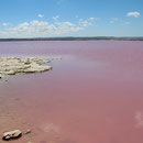 Salinas de Torrevieja - helyszíni planetsol!