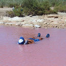 Salinas de Torrevieja - site planetsol!