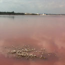 Salinas de Torrevieja - helyszíni planetsol!