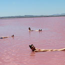 Salinas de Torrevieja - helyszíni planetsol!