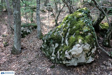 Самостійний підйом на гору Ільяс-Кая