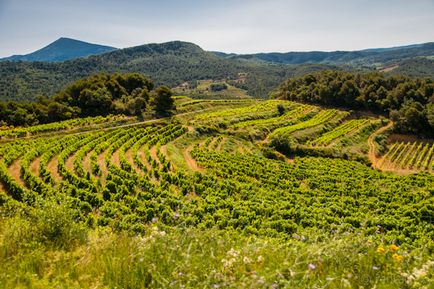 Független utazás Provence