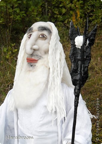 Saruman alb, țară de maeștri