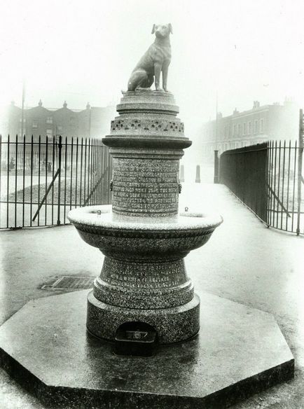 Secretele vechiului monument londonez al câinelui au provocat tulburări masive
