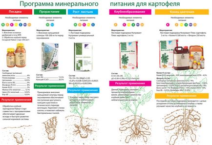 Secretele cartofilor de creștere - îngrășăminte, plantare, fertilizare, îngrijire