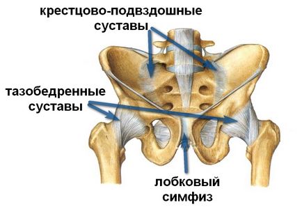 Клацає тазостегновий суглоб причини, лікування