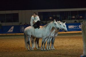 Calul arată Lorenzo