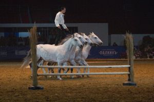 Шоу коней Лоренцо