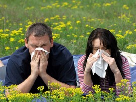 Синдром подразненого кишечника і харчова алергія