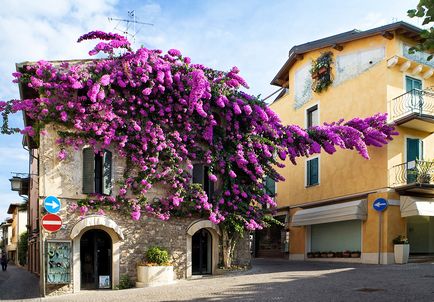 Sirmione Lacul Garda, atracții, lucruri de vis, hoteluri, restaurante