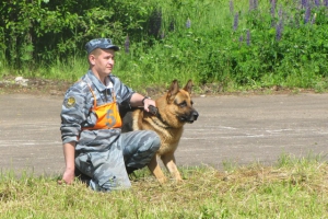 Собача пенсія, іванівська газета