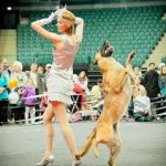 Câine și lanț, blog despre câini