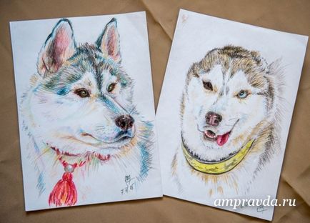 Un artist de pictură pentru câini din Blagoveshchensk scrie portrete ale animalelor de casă din natură