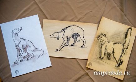 Un artist de pictură pentru câini din Blagoveshchensk scrie portrete ale animalelor de casă din natură