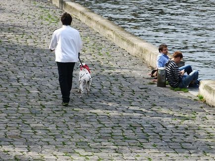 Câini în Paris sau câini iubitori de paris, nalatty