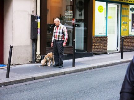 Собаки в Парижі або собаколюбівий париж, nalatty