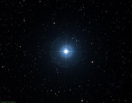 Constellation kígyó