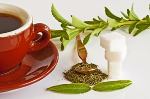 Stevia - un medicament și un tratament, proprietăți utile ale stevia