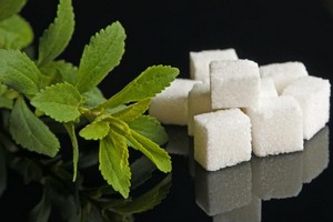 Stevia - un medicament și un tratament, proprietăți utile ale stevia