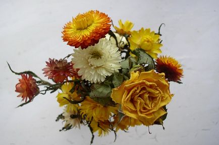 Flori uscate pentru a usca flori și frunze pentru un buchet de iarnă - vatră acasă
